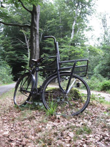 Transportfiets op vakantie